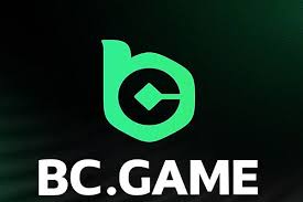 BC.Game APK Your Ultimate Guide for iOS Devices