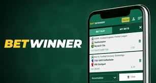 BetWinner Registration A Comprehensive Guide to Joining the Platform
