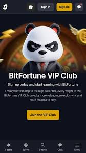 Bitfortune App vs Browser Which is Better for Online Gaming -1227017105