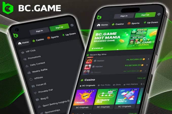 Discovering BC.Game Alternative Links for Seamless Gaming Experience