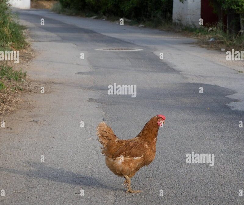 Descubre el secreto detrás de Chicken Road, el juego masivo en España