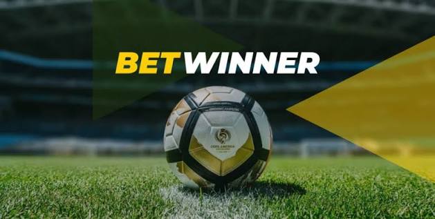 Exploring BetWinner Casino A Comprehensive Review
