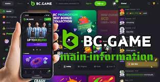 Exploring the Innovative Features of BC.Game Platform