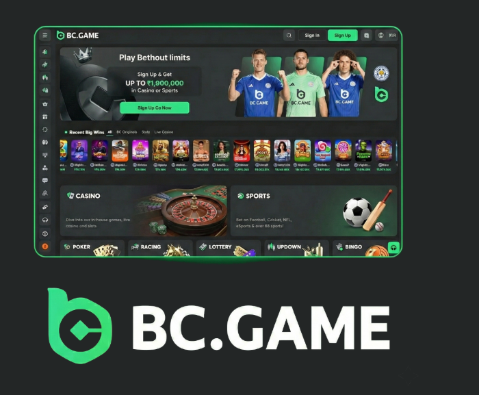 How to Register on BC.Game Step-by-Step Guide
