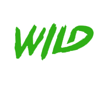 Viggoslots Casino App Review: Mobile Gaming unter der Lupe
