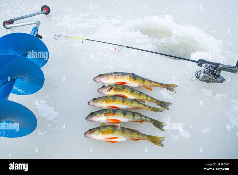 Get Hooked in the UK with Exciting Ice Fishing Game Demo Get Hooked in the UK with Exciting Ice Fishing Game Demo