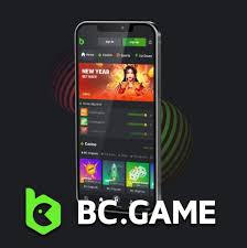 Understanding BC.Game Withdrawal Your Comprehensive Guide