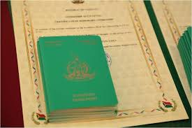 Understanding the Cost of Vanuatu Citizenship A Comprehensive Guide 892946612